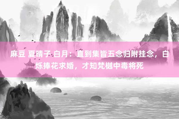 麻豆 夏晴子 白月：直到集皆五念归附挂念，白烁捧花求婚，才知梵樾中毒将死