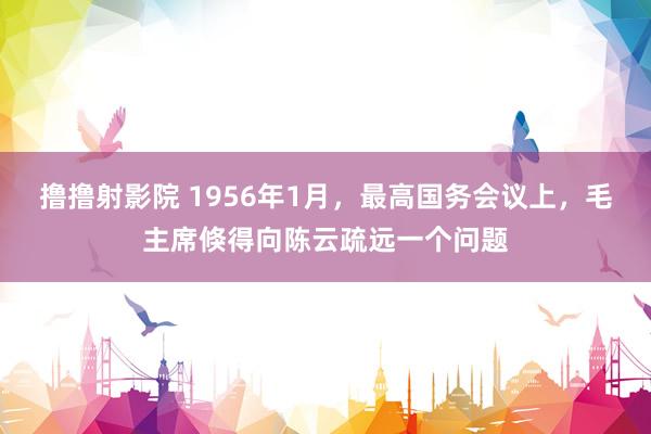 撸撸射影院 1956年1月，最高国务会议上，毛主席倏得向陈云疏远一个问题
