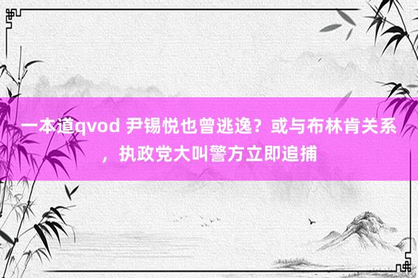 一本道qvod 尹锡悦也曾逃逸？或与布林肯关系，执政党大叫警方立即追捕
