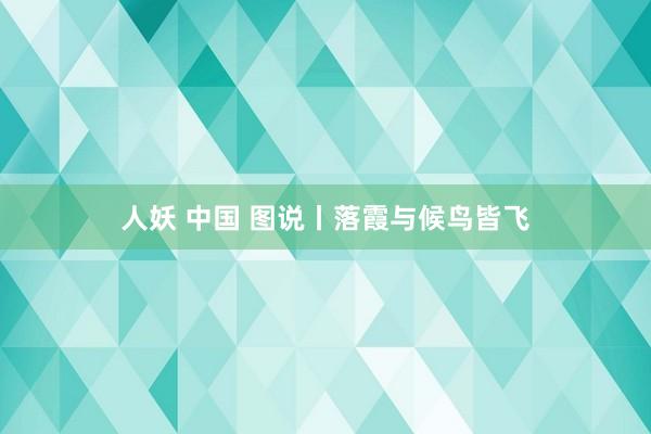 人妖 中国 图说丨落霞与候鸟皆飞