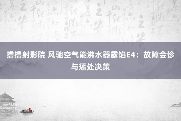 撸撸射影院 风驰空气能沸水器露馅E4：故障会诊与惩处决策