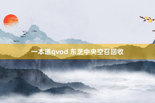 一本道qvod 东芝中央空召回收