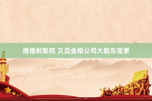 撸撸射影院 又见金租公司大股东变更