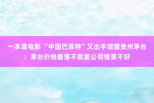 一本道电影 “中国巴菲特”又出手增握贵州茅台：茅台价钱着落不就是公司情景不好