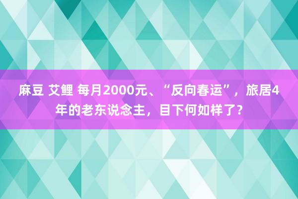 麻豆 艾鲤 每月2000元、“反向春运”，旅居4年的老东说念主，目下何如样了？