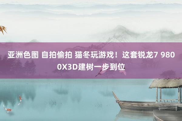 亚洲色图 自拍偷拍 猫冬玩游戏！这套锐龙7 9800X3D建树一步到位