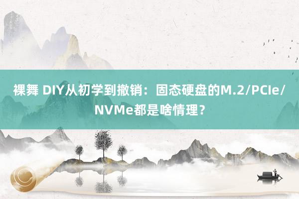 裸舞 DIY从初学到撤销：固态硬盘的M.2/PCIe/NVMe都是啥情理？