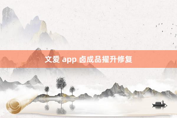 文爱 app 卤成品擢升修复