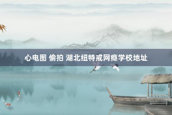心电图 偷拍 湖北纽特戒网瘾学校地址