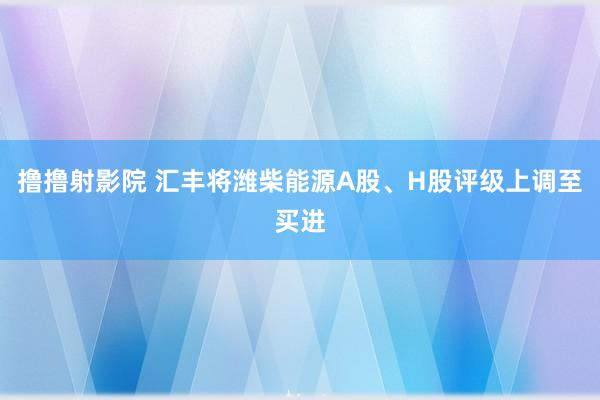 撸撸射影院 汇丰将潍柴能源A股、H股评级上调至买进