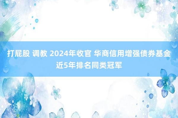 打屁股 调教 2024年收官 华商信用增强债券基金近5年排名同类冠军