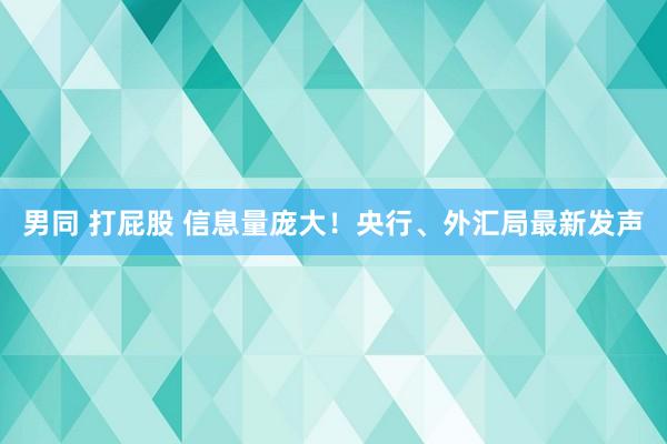 男同 打屁股 信息量庞大！央行、外汇局最新发声