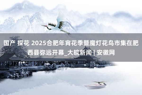 国产 探花 2025合肥年宵花季暨魔灯花鸟市集在肥西县弥远开幕_大皖新闻 | 安徽网
