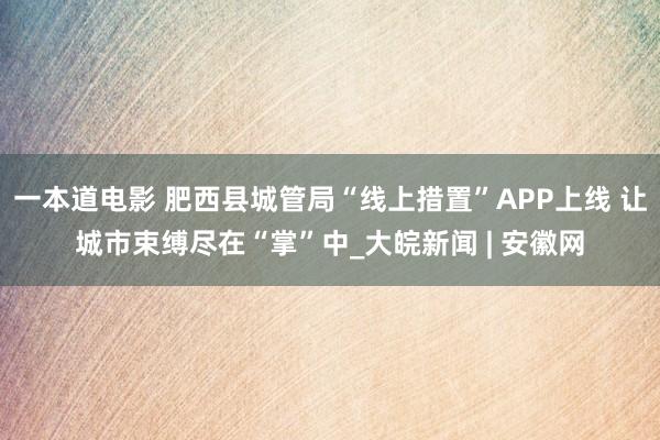 一本道电影 肥西县城管局“线上措置”APP上线 让城市束缚尽在“掌”中_大皖新闻 | 安徽网