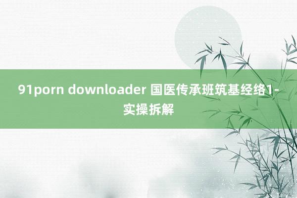 91porn downloader 国医传承班筑基经络1-实操拆解