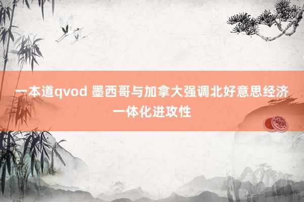 一本道qvod 墨西哥与加拿大强调北好意思经济一体化进攻性