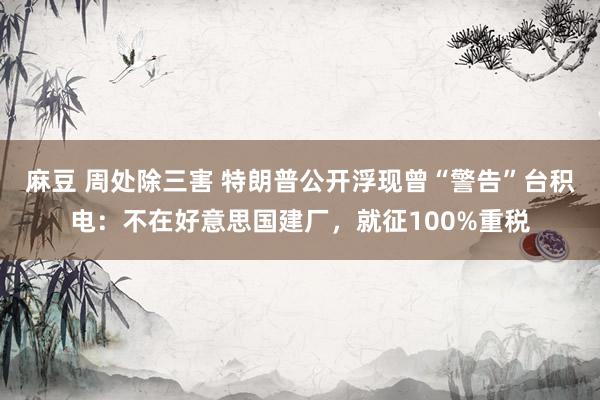 麻豆 周处除三害 特朗普公开浮现曾“警告”台积电：不在好意思国建厂，就征100%重税