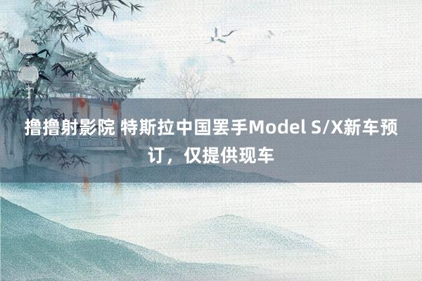 撸撸射影院 特斯拉中国罢手Model S/X新车预订，仅提供现车