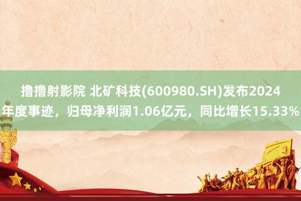 撸撸射影院 北矿科技(600980.SH)发布2024年度事迹，归母净利润1.06亿元，同比增长15.33%