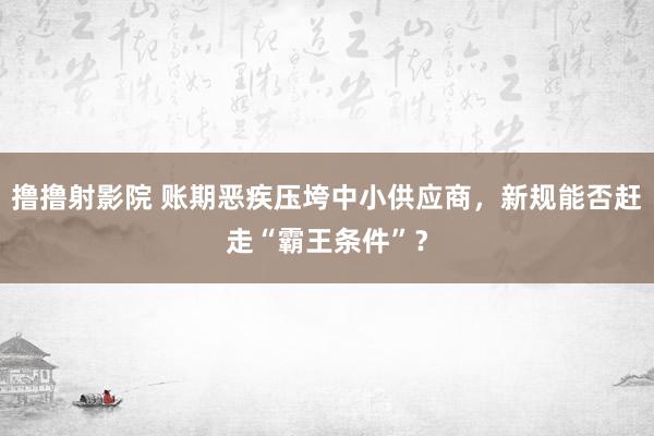 撸撸射影院 账期恶疾压垮中小供应商，新规能否赶走“霸王条件”？